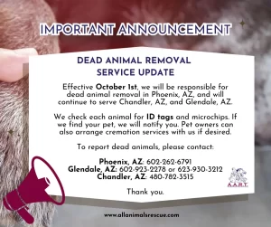 Dead Stray Animal Removal from Roads & Right-of-Ways