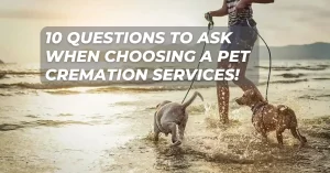 10 Questions to Ask When Choosing Pet Cremation Services!