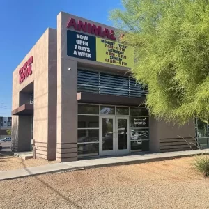 Animal Hospital in Phoenix 