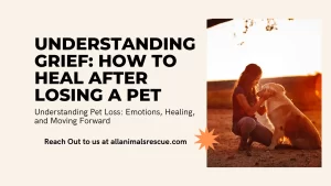 Grief: What It Is and How It Affects Us and How to Heal After Losing a Pet