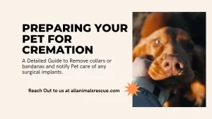 Preparing Your Pet For Cremation a guide to dog collars and any bandanas etc from the pet before coming. anysurgical implants on pet, etc.